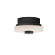 Moers Mini Flush Mount