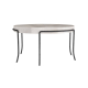 Mosquito Coffee Table