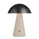 Struzzo Rechargeable Accent Lamp