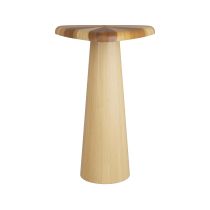5785 Rudolf Accent Table Angle 1 View