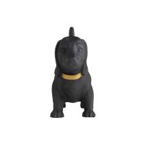 ASC45 Leo Sculpture Angle 1 View