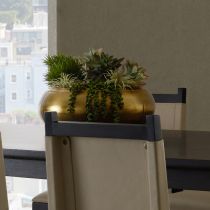 ATI01 Zehir Cache Pot Enviormental View 1