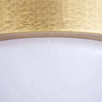 DFC20 Lennon Flush Mount Back View 