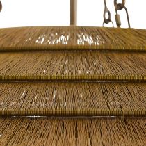 DLI10 Lexa Pendant Back Angle View