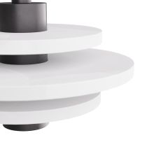 DPC10 Bevins Pendant Back View 