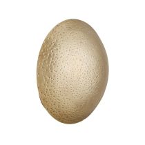 DWC92 Naya Sconce Angle 1 View