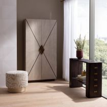 FLI05 Torelli Console Enviormental View 1