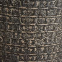 FSS15 Sobek Textured Back Outdoor Bar Stool Detail View