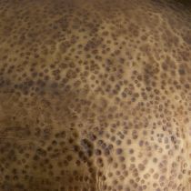 PFI16 Hoffman Floor Lamp 