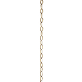 3\' Chain- Gold Leafed Iron
