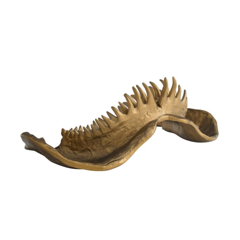 Mako Sculpture