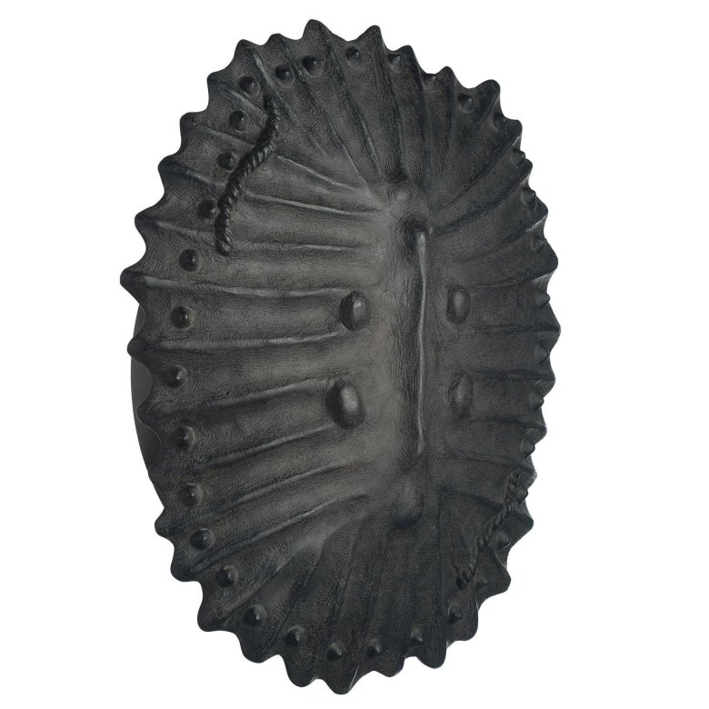 Neushoorn Wall Sconce