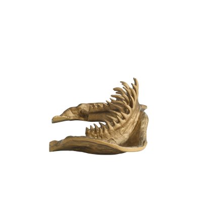 Mako Sculpture